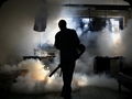 FUMIGACIONES